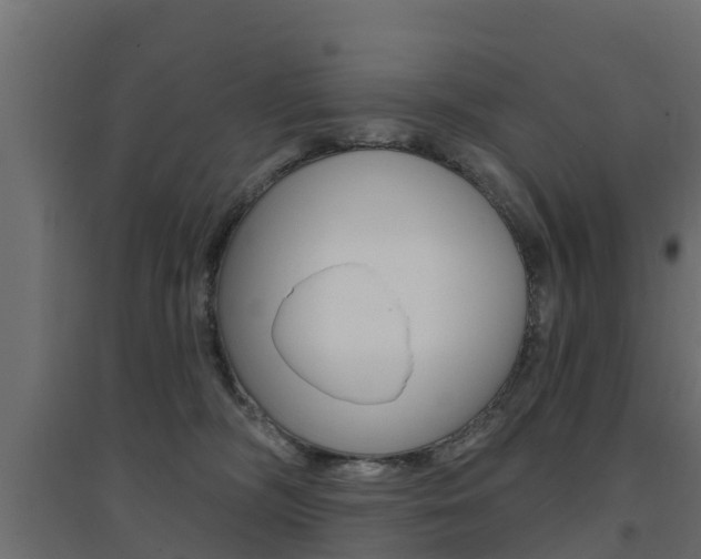 X0000094900326200711291029