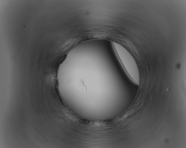 X0000094900329200711291029
