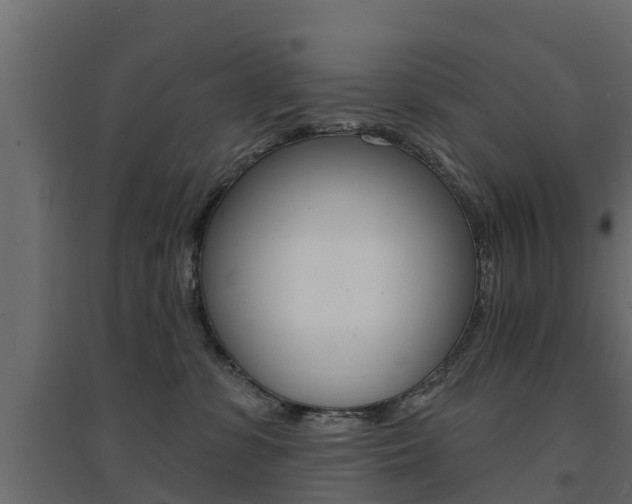 X0000094900331200711291029