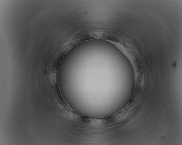 X0000094900332200711291029