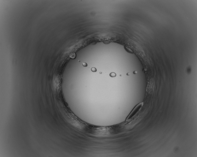 X0000094900335200711291029