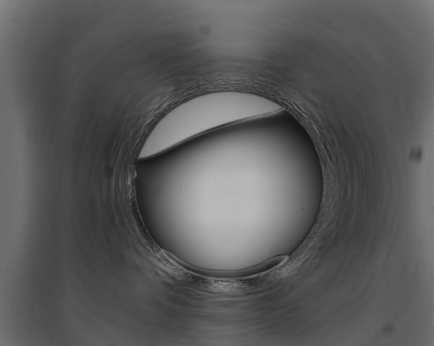 X0000094900336200711291029
