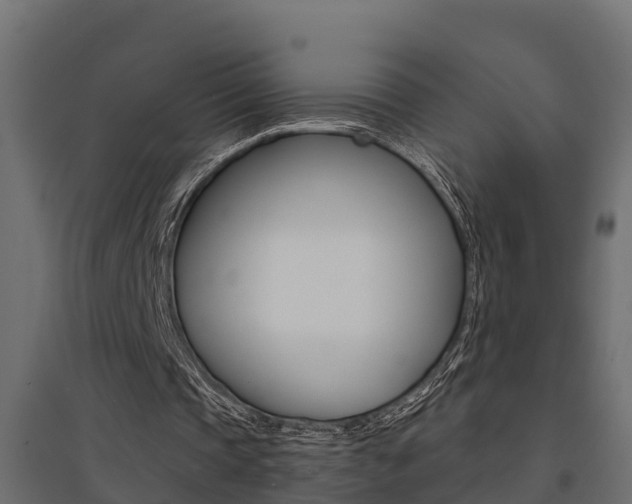X0000094900337200711291028