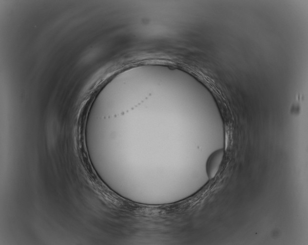X0000094900339200711291028
