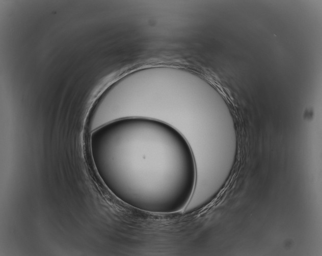 X0000094900340200711291028