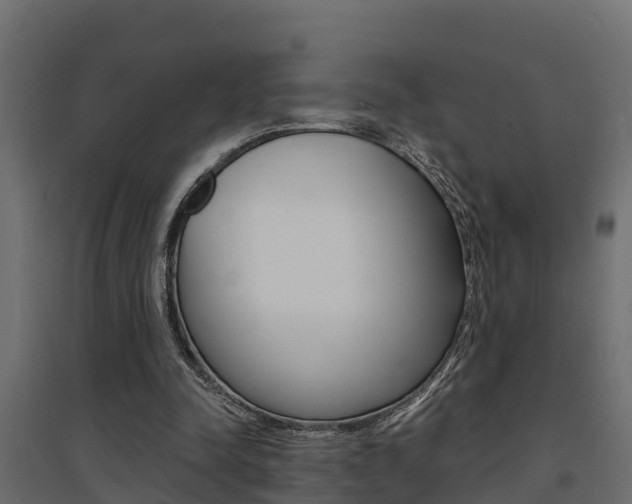 X0000094900342200711291028