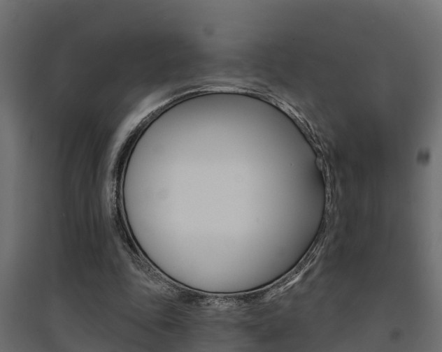 X0000094900343200711291028