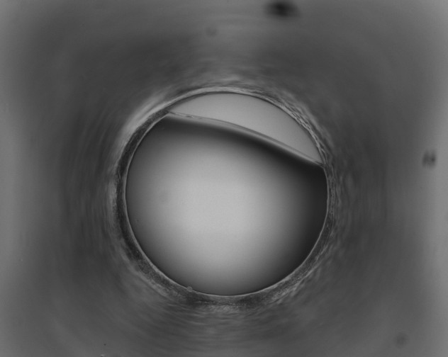X0000094900344200711291028