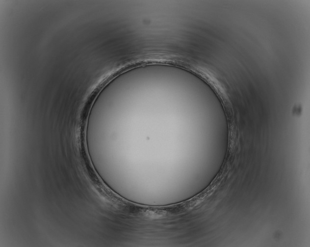 X0000094900346200711291028