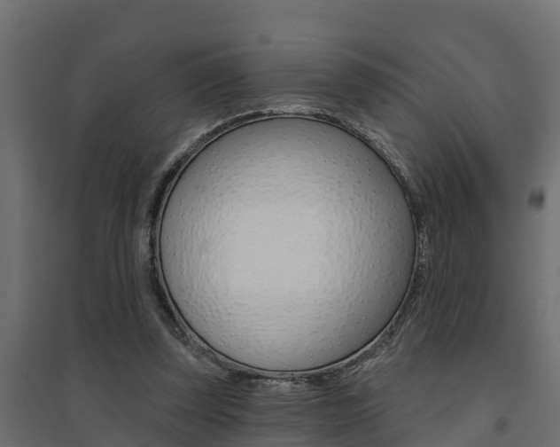 X0000094900347200711291028