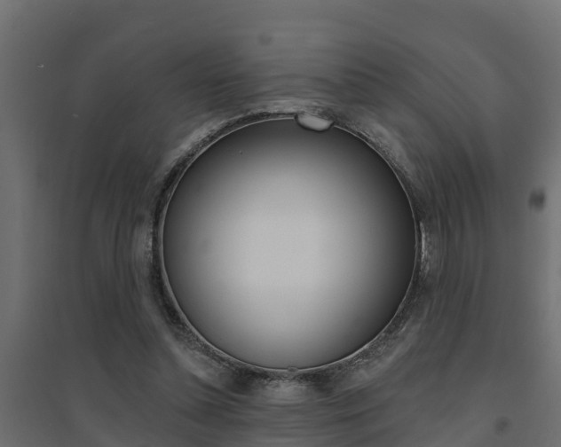 X0000094900348200711291028