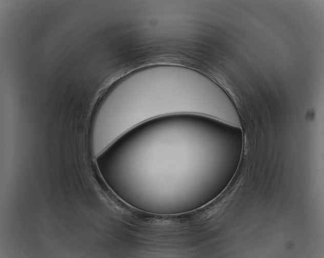 X0000094900349200711291028