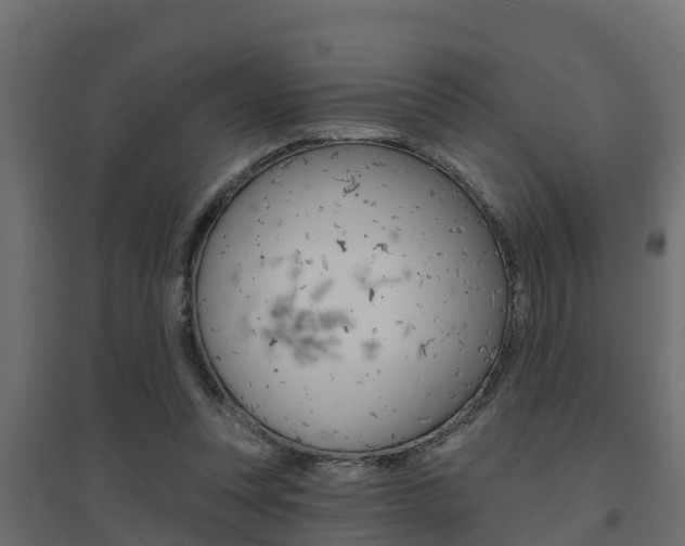 X0000094900351200711291028