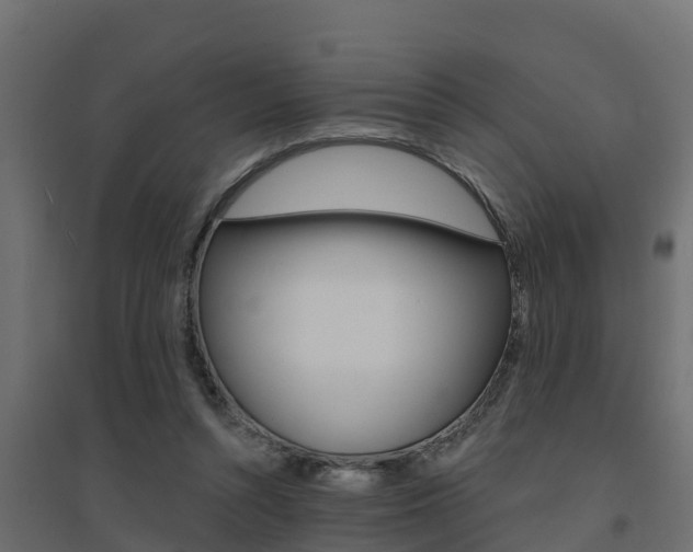 X0000094900352200711291028