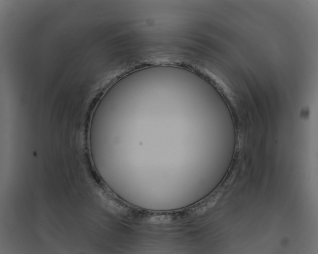 X0000094900353200711291028