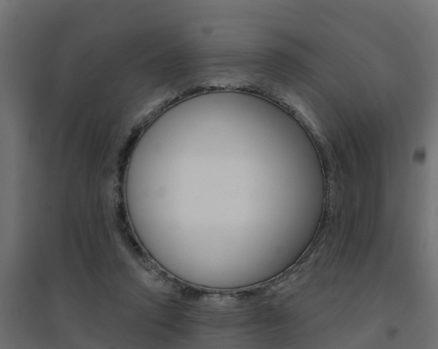 X0000094900354200711291028