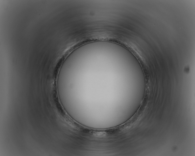 X0000094900355200711291028