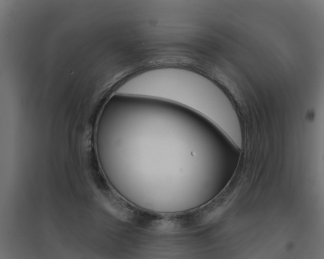 X0000094900356200711291028