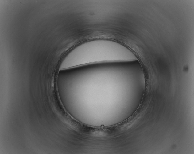 X0000094900358200711291028