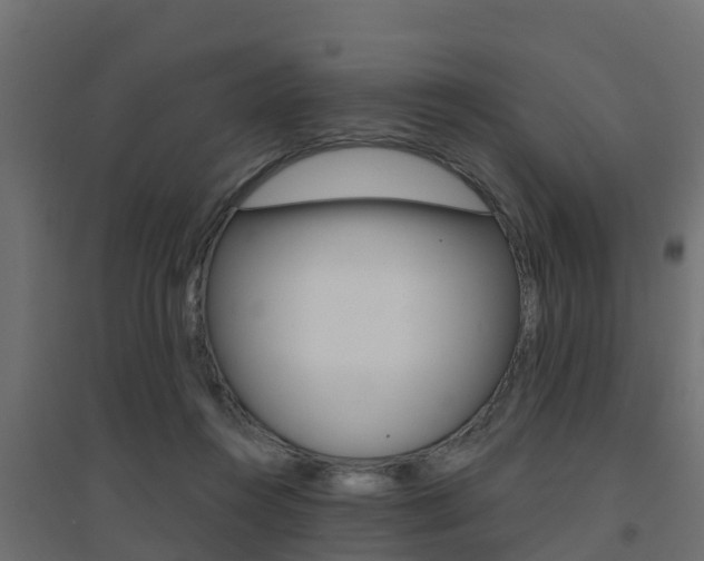 X0000094900360200711291028