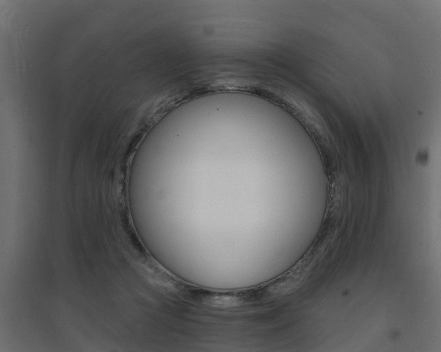 X0000094900361200711291028