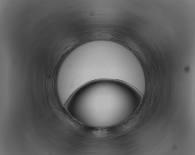 X0000094900362200711291028