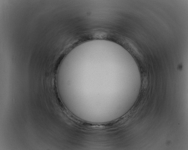 X0000094900363200711291028