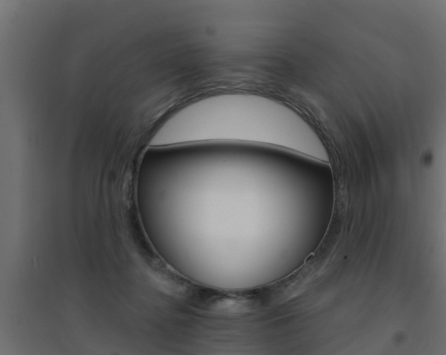 X0000094900364200711291028