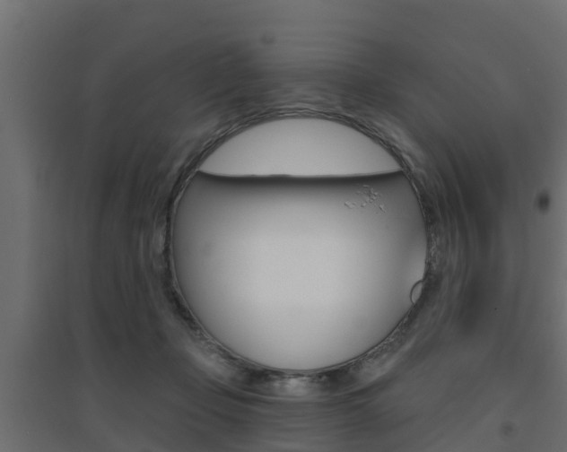 X0000094900365200711291028