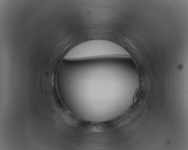 X0000094900368200711291028