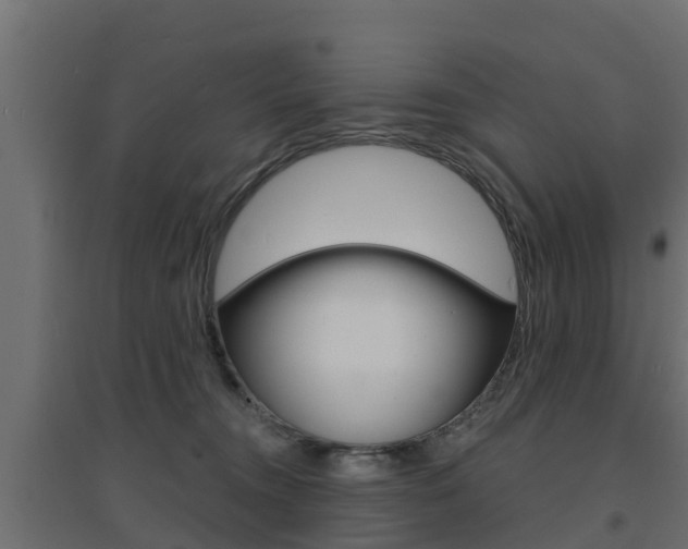 X0000094900372200711291028