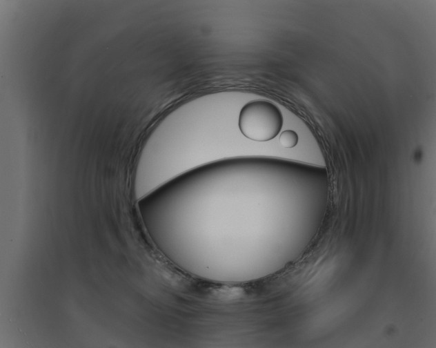 X0000094900374200711291028