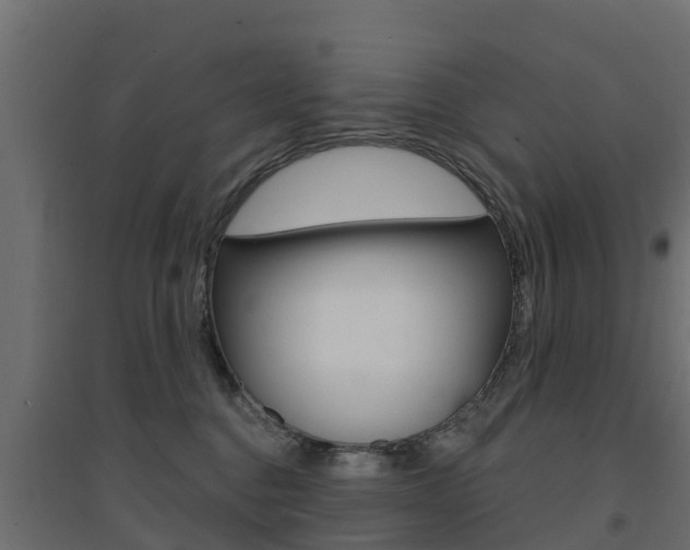 X0000094900376200711291029