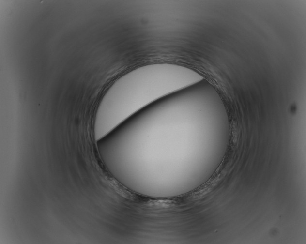 X0000094900378200711291029