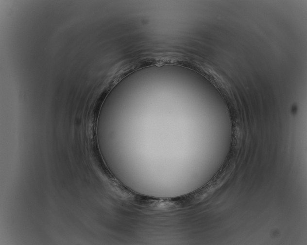 X0000094900379200711291029