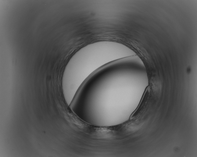X0000094900380200711291029