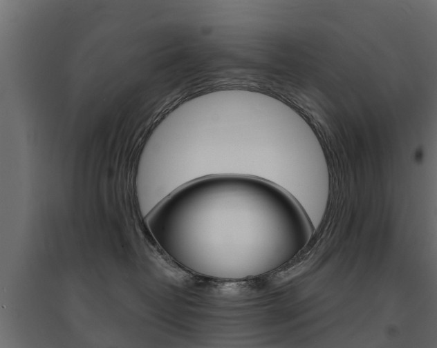 X0000094900382200711291029