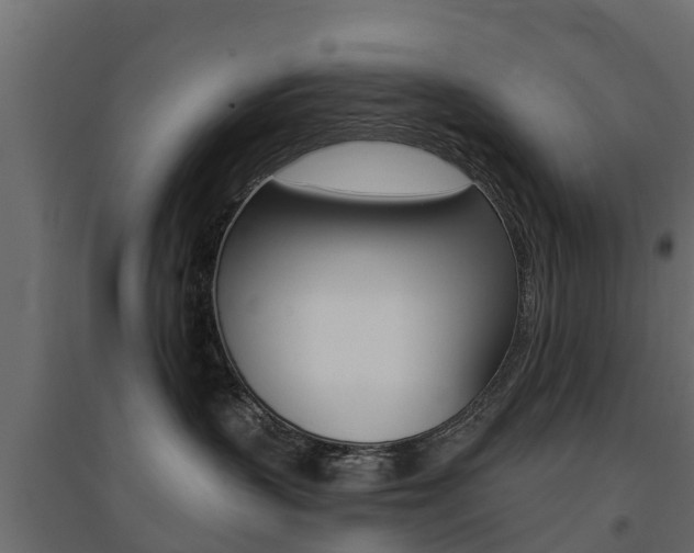 X0000094900383200711291029