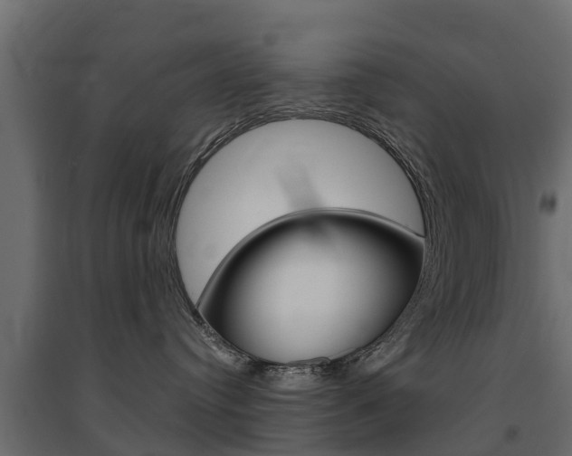 X0000094900384200711291029