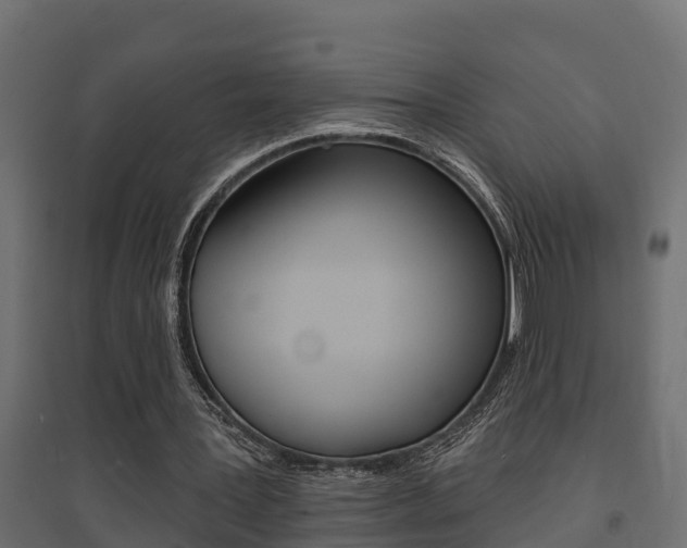 X0000094900387200711291028