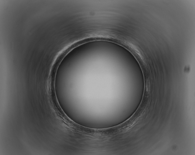 X0000094900388200711291028