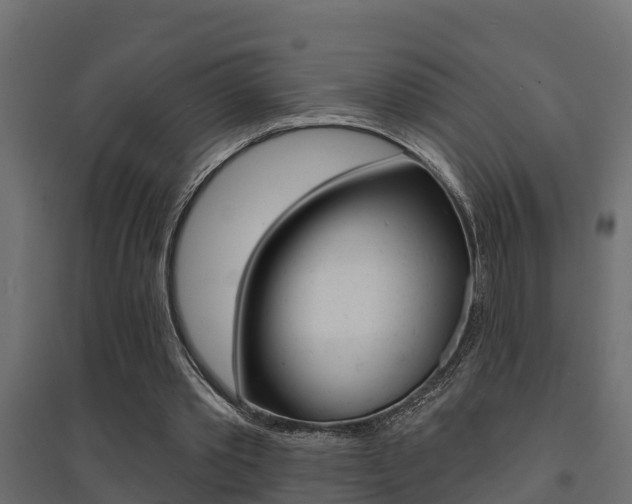 X0000094900389200711291028