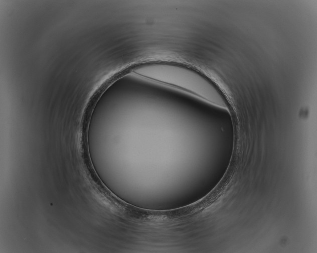 X0000094900391200711291028