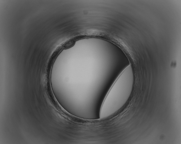 X0000094900392200711291028