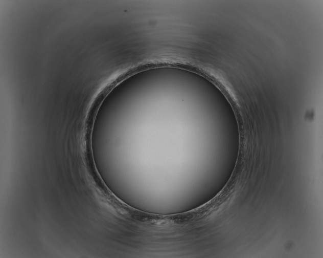 X0000094900395200711291028