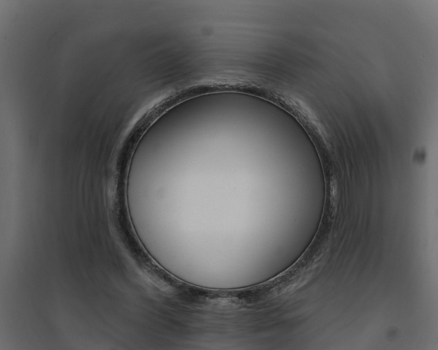 X0000094900396200711291028