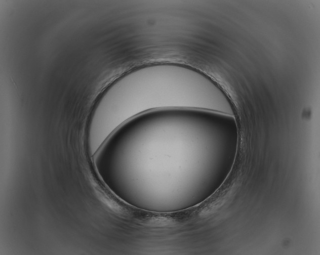 X0000094900397200711291028