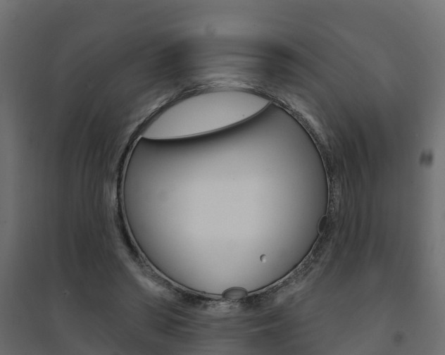 X0000094900398200711291028