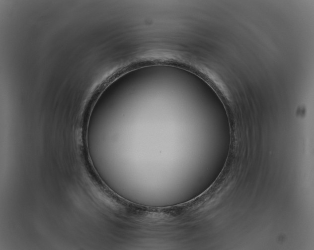 X0000094900399200711291028