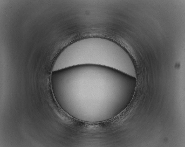 X0000094900401200711291028
